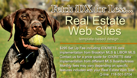 Fetch IDX Offer