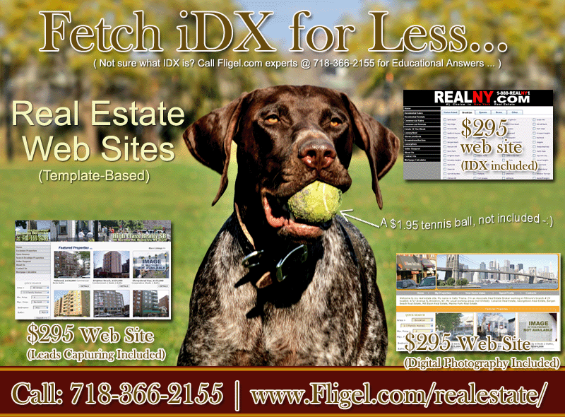 Fetch iDX for Less..