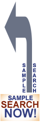 Sample Real Estate Agent