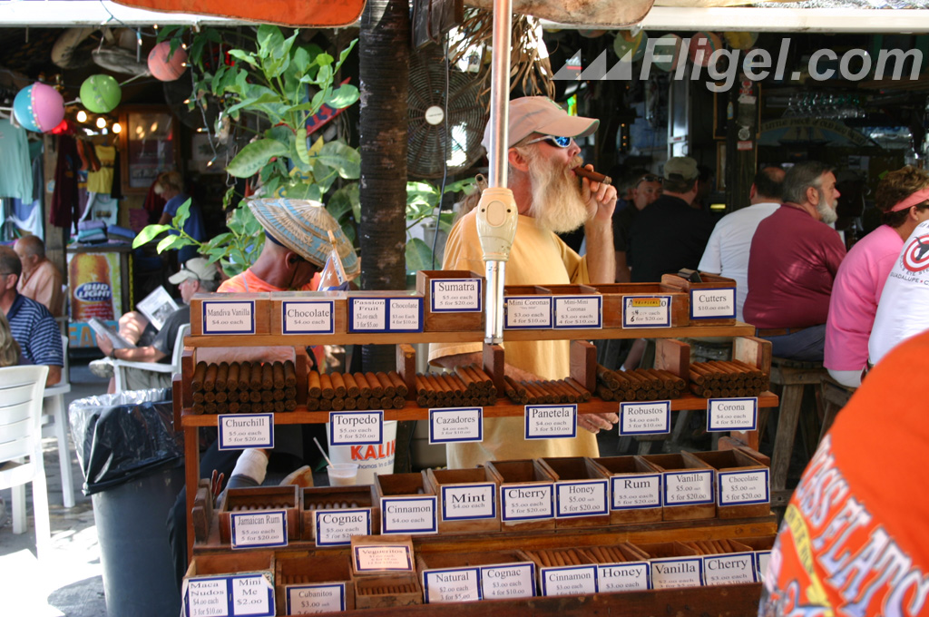 The Brick Wall and the Dry Root